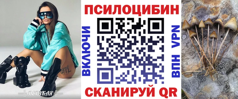 даркнет сайт Лянтор Галлюциногенные грибы Psilocybe